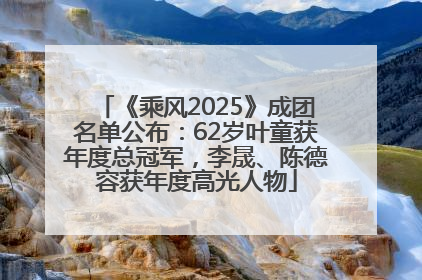 《乘风2025》成团名单公布：62岁叶童获年度总冠军，李晟、陈德容获年度高光人物