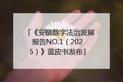 《安徽数字法治发展报告NO.1（2025）》蓝皮书发布