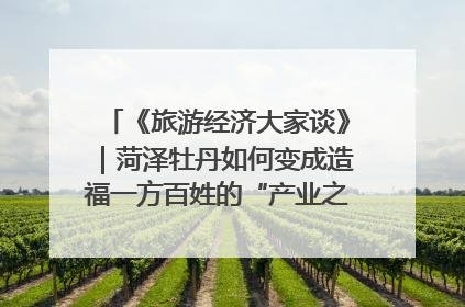 《旅游经济大家谈》｜菏泽牡丹如何变成造福一方百姓的“产业之花”“富民之花”？