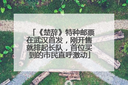 《楚辞》特种邮票在武汉首发，刚开售就排起长队，首位买到的市民直呼激动