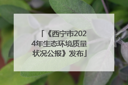 《西宁市2024年生态环境质量状况公报》发布