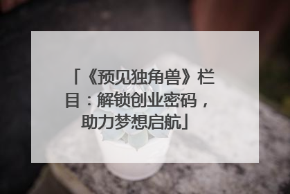 《预见独角兽》栏目：解锁创业密码，助力梦想启航