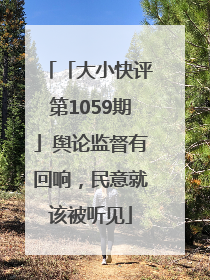 「大小快评第1059期」舆论监督有回响，民意就该被听见