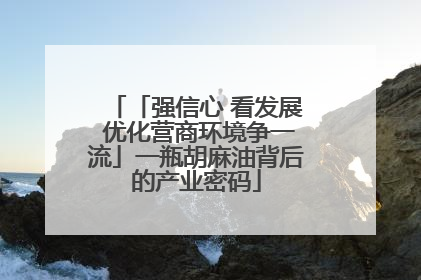 「强信心 看发展 优化营商环境争一流」一瓶胡麻油背后的产业密码
