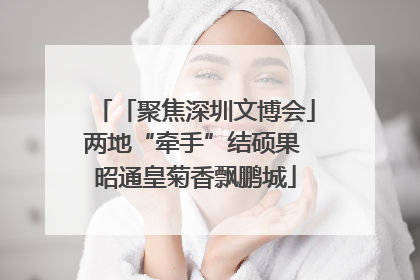 「聚焦深圳文博会」两地“牵手”结硕果 昭通皇菊香飘鹏城