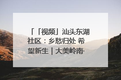 「视频」汕头东湖社区：乡愁归处 希望新生｜大美岭南·百村焕新记