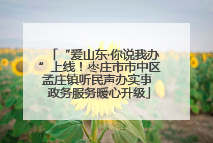 “爱山东·你说我办”上线！枣庄市市中区孟庄镇听民声办实事 政务服务暖心升级