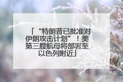 “特朗普已批准对伊朗攻击计划”！美第三艘航母将部署至以色列附近