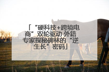 “硬科技+跨境电商”双轮驱动 外籍专家探秘碑林的“逆生长”密码