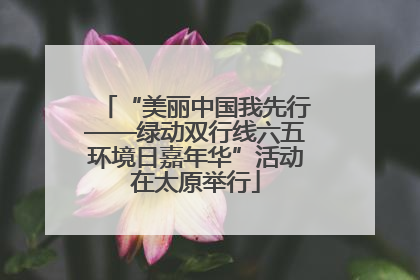 “美丽中国我先行——绿动双行线六五环境日嘉年华”活动在太原举行