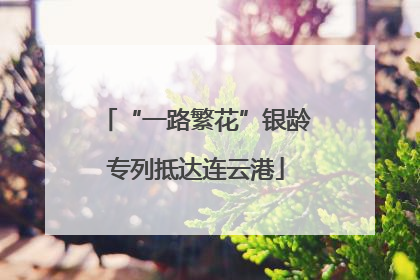 “一路繁花”银龄专列抵达连云港