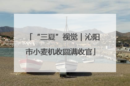“三夏”视觉｜沁阳市小麦机收圆满收官