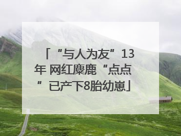 “与人为友”13年 网红麋鹿“点点”已产下8胎幼崽