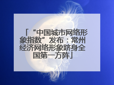 “中国城市网络形象指数”发布：常州经济网络形象跻身全国第一方阵