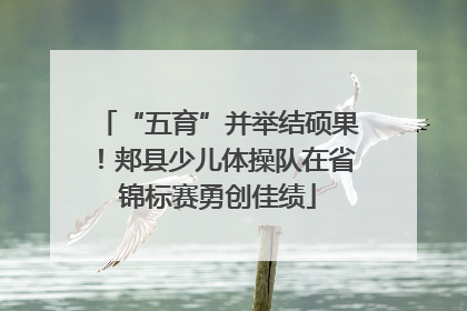 “五育”并举结硕果！郏县少儿体操队在省锦标赛勇创佳绩