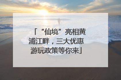 “仙境”亮相黄浦江畔，三大优惠游玩政策等你来