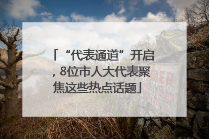 “代表通道”开启，8位市人大代表聚焦这些热点话题