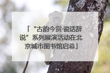 “古韵今赏·瓷话辞说”系列展演活动在北京城市图书馆启幕