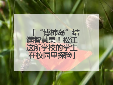 “博柿岛”结满智慧果！松江这所学校的学生在校园里探险