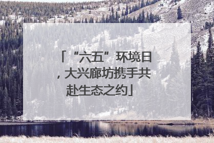 “六五”环境日，大兴廊坊携手共赴生态之约