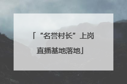 “名誉村长”上岗 直播基地落地