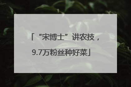 “宋博士”讲农技，9.7万粉丝种好菜
