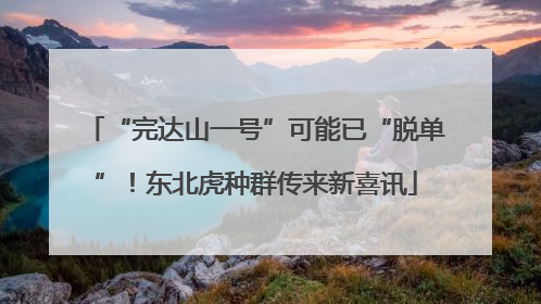 “完达山一号”可能已“脱单”！东北虎种群传来新喜讯