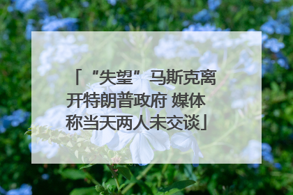 “失望”马斯克离开特朗普政府 媒体称当天两人未交谈