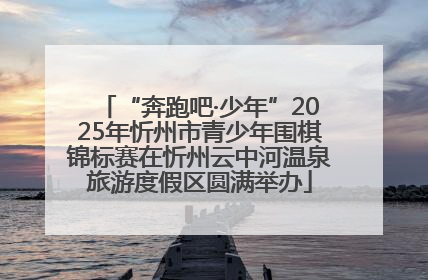 “奔跑吧·少年”2025年忻州市青少年围棋锦标赛在忻州云中河温泉旅游度假区圆满举办