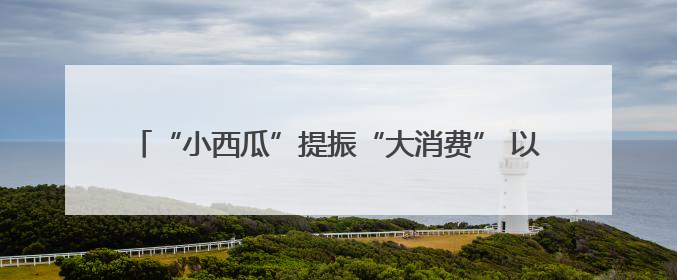 “小西瓜”提振“大消费” 以节庆IP助力大兴区高质量发展
