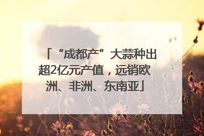 “成都产”大蒜种出超2亿元产值，远销欧洲、非洲、东南亚