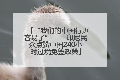 “我们的中国行更容易了”——印尼民众点赞中国240小时过境免签政策