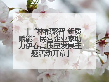 “林都聚智 新质赋能”民营企业家助力伊春高质量发展主题活动开幕