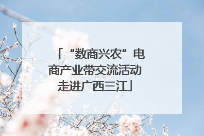 “数商兴农”电商产业带交流活动走进广西三江
