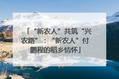 “新农人”共筑“兴农路”：“新农人”付鹏程的稻乡情怀