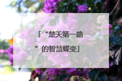 “楚天第一路”的智慧蝶变