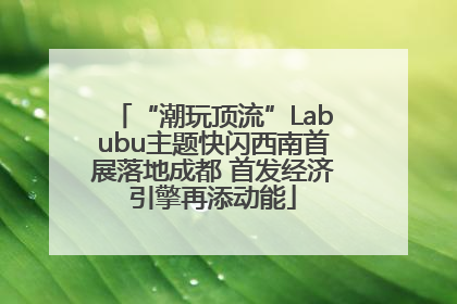 “潮玩顶流”Labubu主题快闪西南首展落地成都 首发经济引擎再添动能