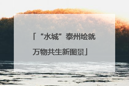 “水城”泰州绘就万物共生新图景