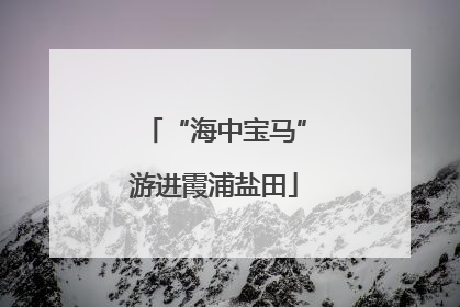 “海中宝马”游进霞浦盐田