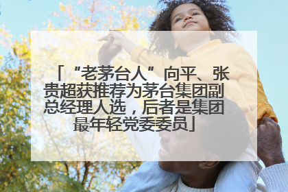 “老茅台人”向平、张贵超获推荐为茅台集团副总经理人选，后者是集团最年轻党委委员