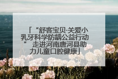 “舒客宝贝·关爱小乳牙科学防龋公益行动” 走进河南唐河县助力儿童口腔健康