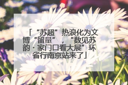 “苏超”热浪化为文博“留量”，“数见苏韵・家门口看大展”环省行南京站来了