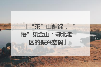 “茶”山醒绿，“悟”见金山：鄂北老区的振兴密码