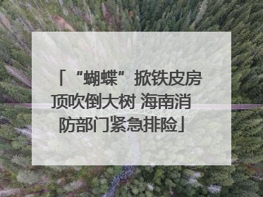 “蝴蝶”掀铁皮房顶吹倒大树 海南消防部门紧急排险