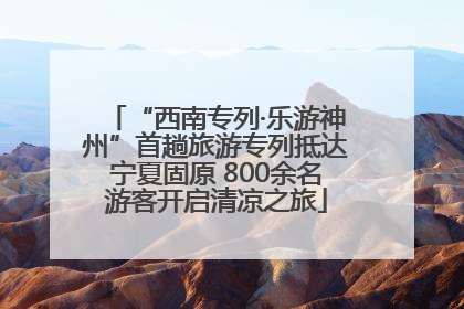 “西南专列·乐游神州”首趟旅游专列抵达宁夏固原 800余名游客开启清凉之旅