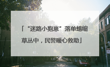 “迷路小狍崽”落单蜷缩草丛中，民警暖心救助