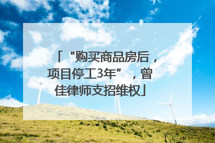 “购买商品房后，项目停工3年”，曾佳律师支招维权