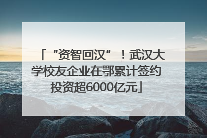 “资智回汉”！武汉大学校友企业在鄂累计签约投资超6000亿元