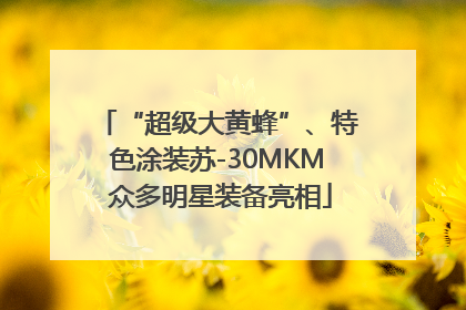 “超级大黄蜂”、特色涂装苏-30MKM 众多明星装备亮相