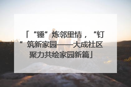“锤”炼邻里情，“钉”筑新家园——大成社区聚力共绘家园新篇